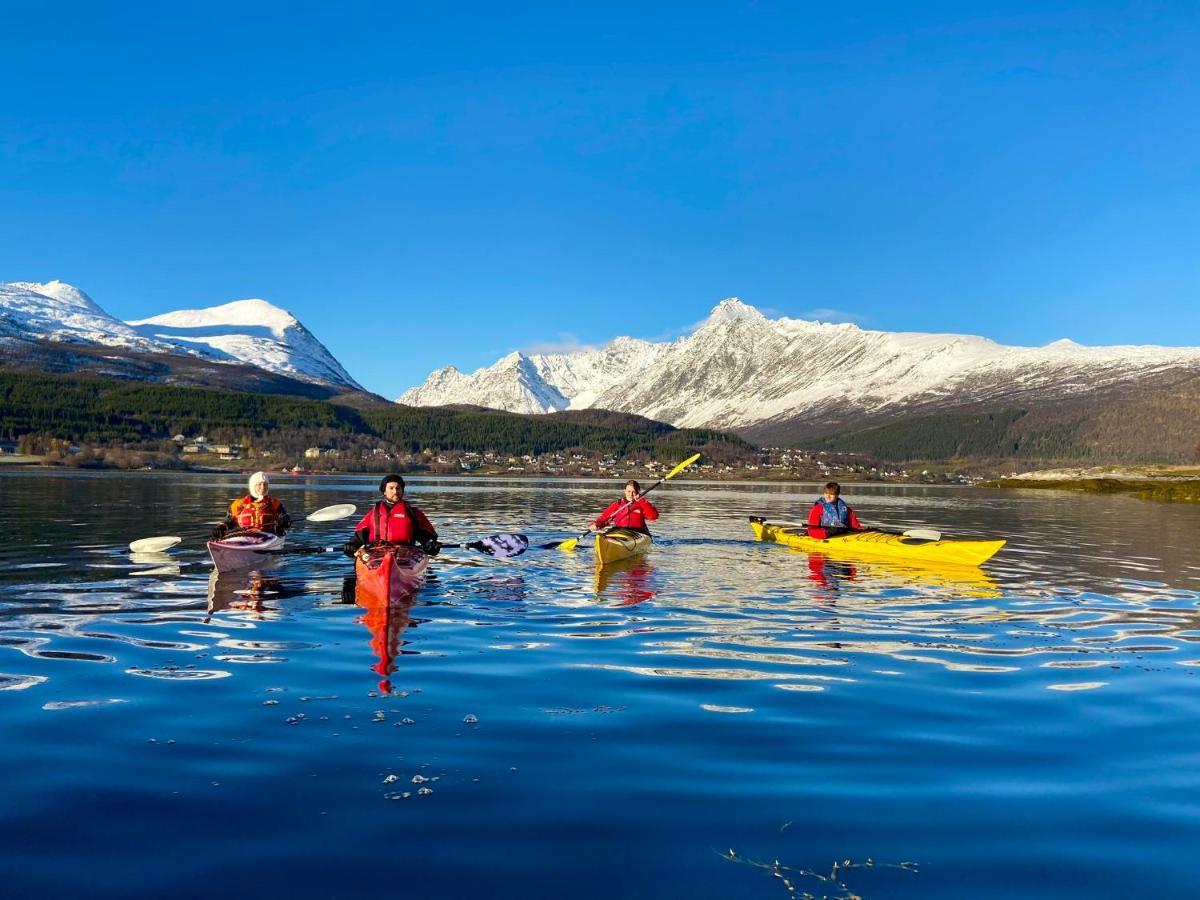 Solhov, Castle Of The Lyngen Alps Hotel Lyngseidet Ngoại thất bức ảnh
