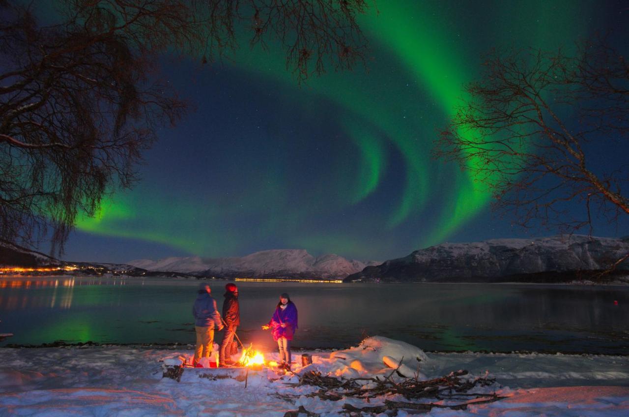 Solhov, Castle Of The Lyngen Alps Hotel Lyngseidet Ngoại thất bức ảnh